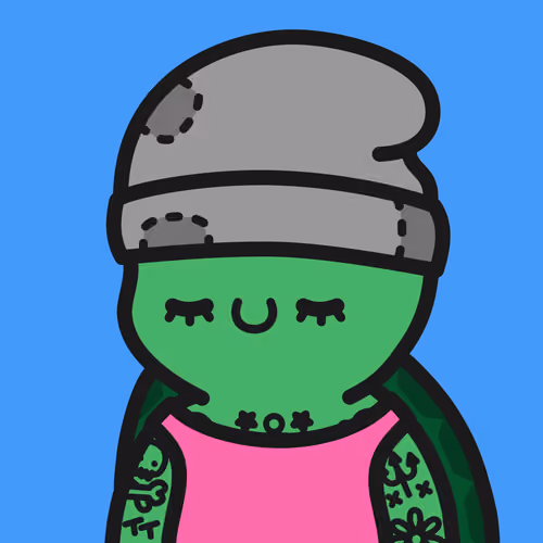 Turtle Town #6085