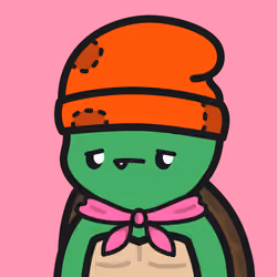 Turtle Town #4892