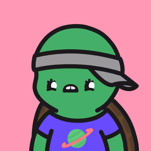 Turtle Town #2849