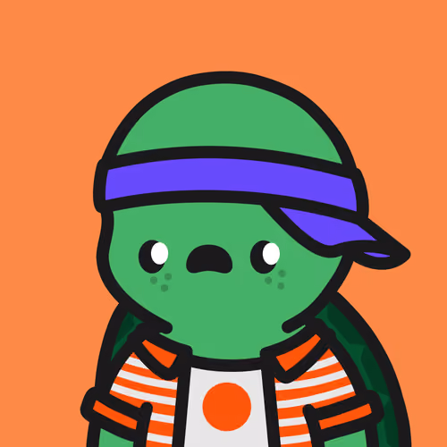 Turtle Town #5212