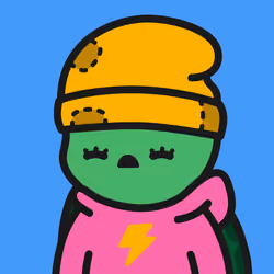 Turtle Town #4170