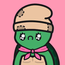 Turtle Town #684