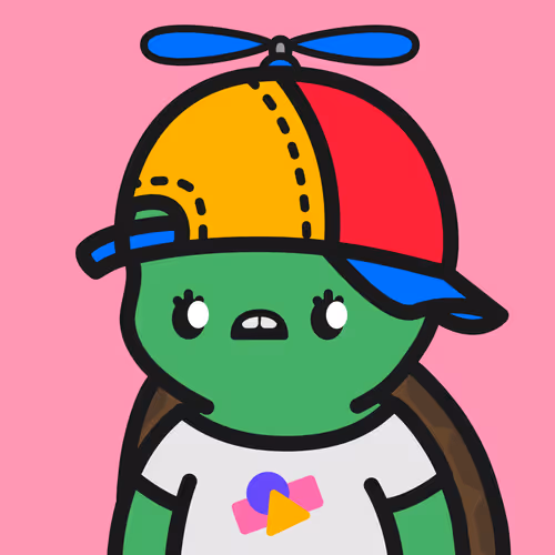 Turtle Town #3432