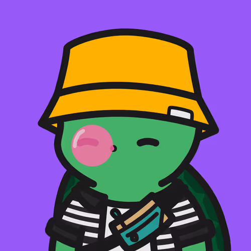 Turtle Town #9979