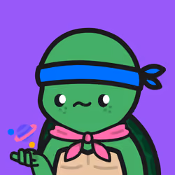 Turtle Town #9910