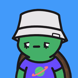 Turtle Town #1642