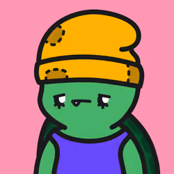 Turtle Town #5065