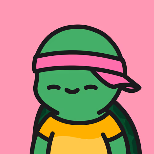 Turtle Town #9964