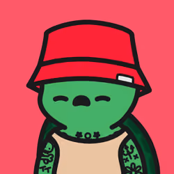 Turtle Town #6471