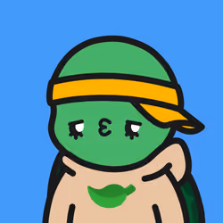 Turtle Town #3622