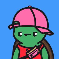 Turtle Town #1682