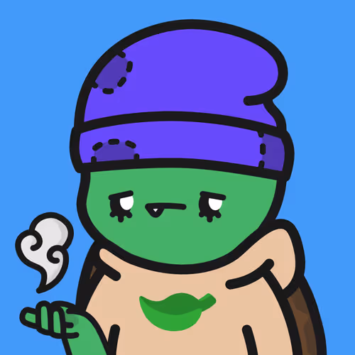 Turtle Town #9955