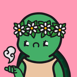 Turtle Town #7947