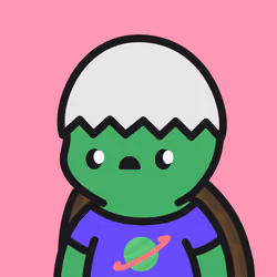 Turtle Town #7624