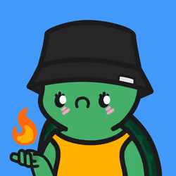 Turtle Town #6924