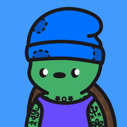 Turtle Town #2569