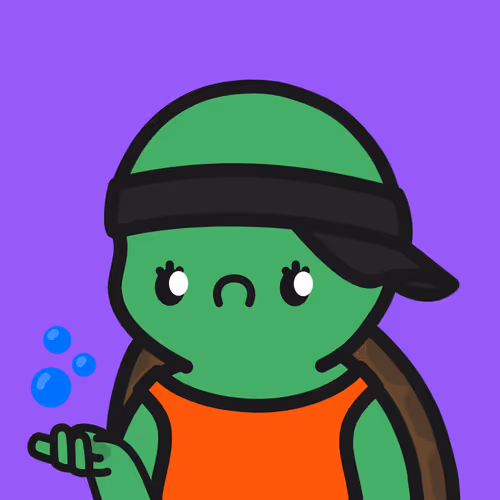 Turtle Town #9958