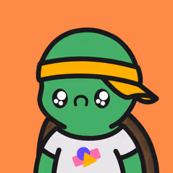 Turtle Town #3288