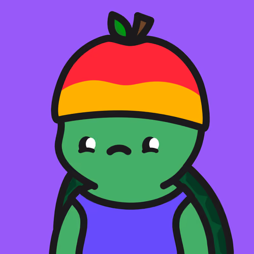 Turtle Town #3347