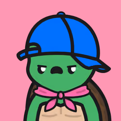 Turtle Town #9533
