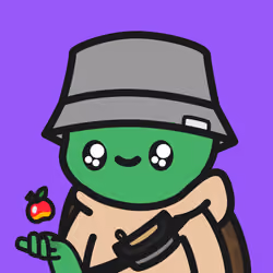 Turtle Town #6198