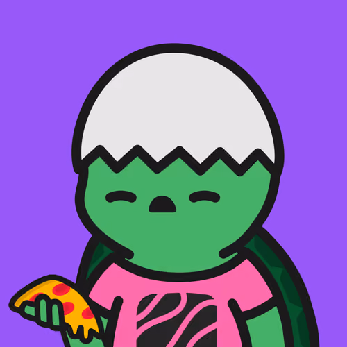 Turtle Town #6022