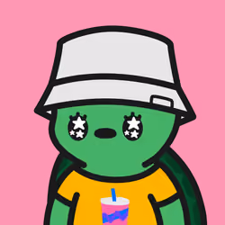 Turtle Town #7554