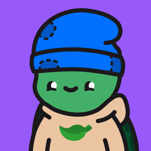 Turtle Town #9150