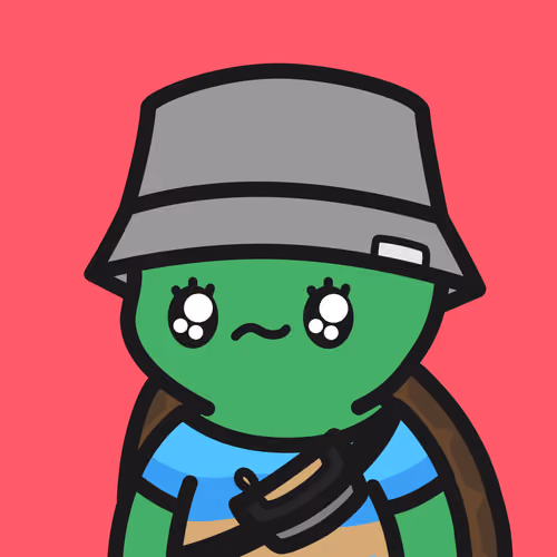 Turtle Town #5456
