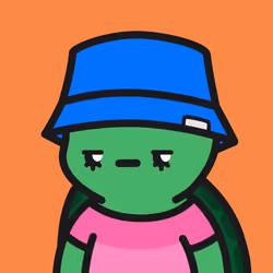 Turtle Town #3809