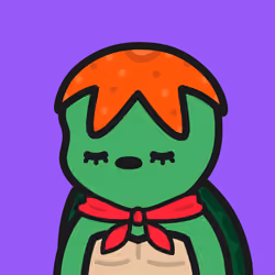 Turtle Town #3152