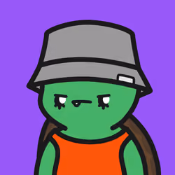 Turtle Town #1033