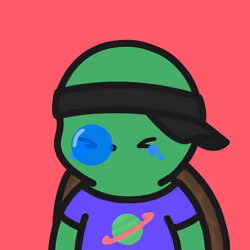 Turtle Town #2635