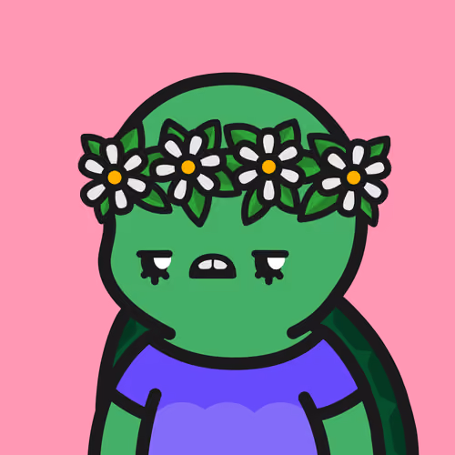 Turtle Town #2783