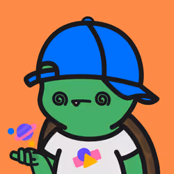 Turtle Town #4893