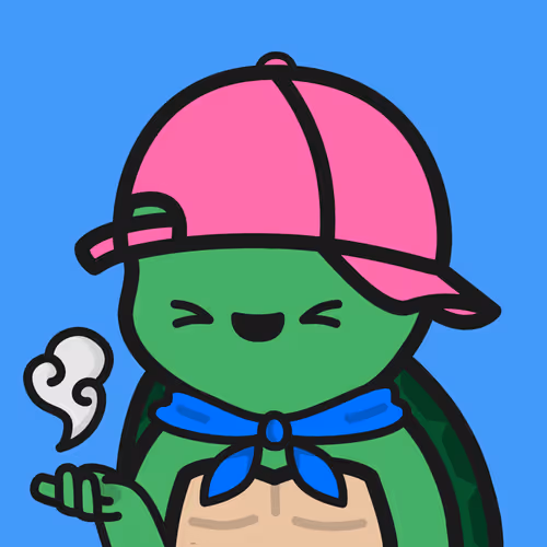 Turtle Town #8840