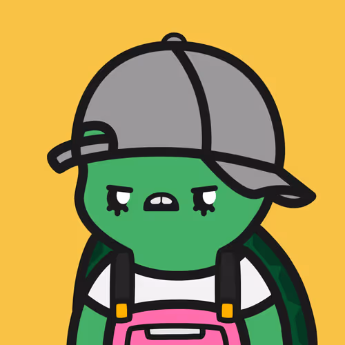 Turtle Town #2714