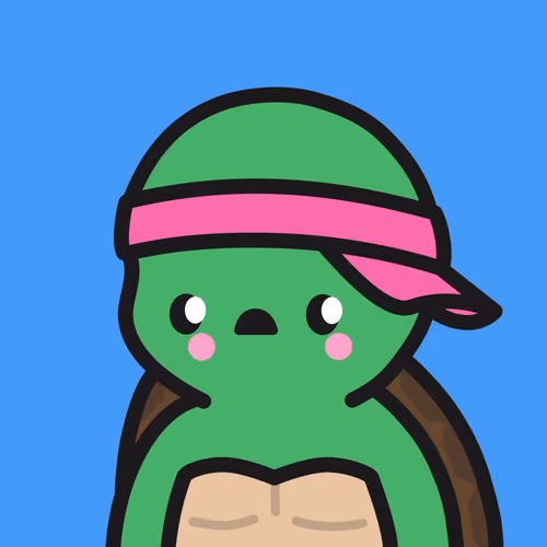 Turtle Town #9750