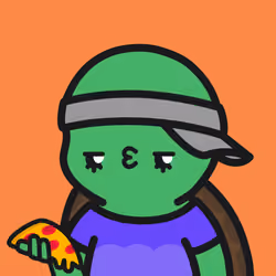 Turtle Town #1207