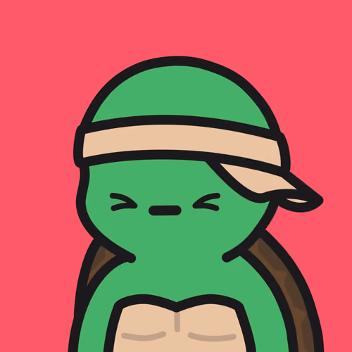 Turtle Town #1484