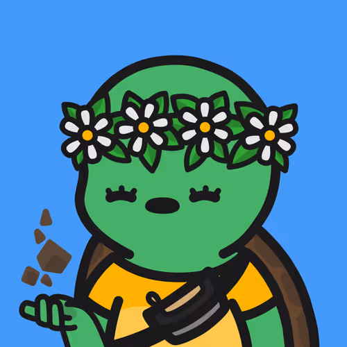 Turtle Town #9485