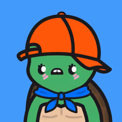 Turtle Town #6868