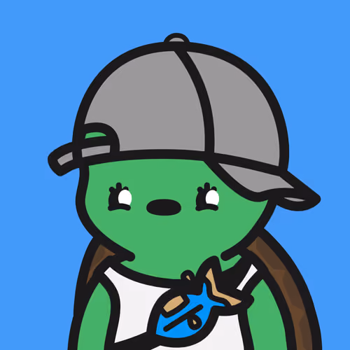 Turtle Town #4279