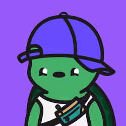 Turtle Town #4644