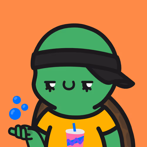 Turtle Town #9962
