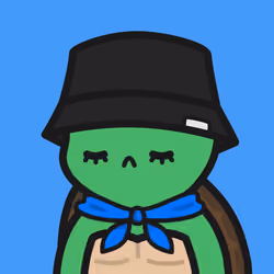 Turtle Town #782