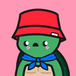Turtle Town #9112