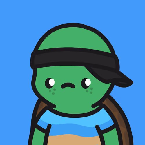 Turtle Town #8713
