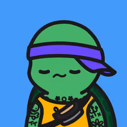 Turtle Town #1494