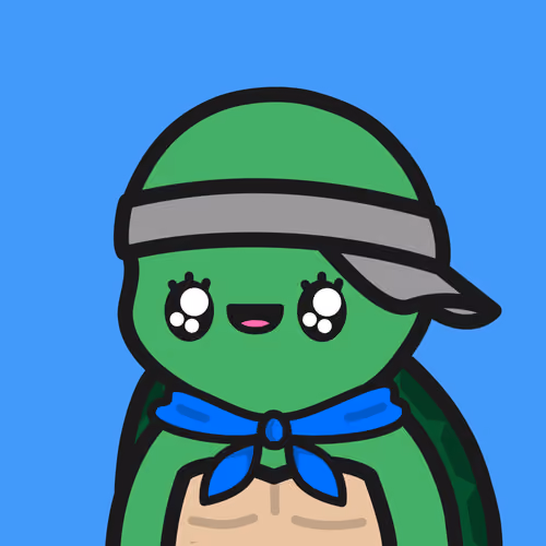 Turtle Town #1333